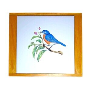 Vintage Czech Republic Ceramic Eastern Bluebird Tile Trivet Wood Framed Wall Art